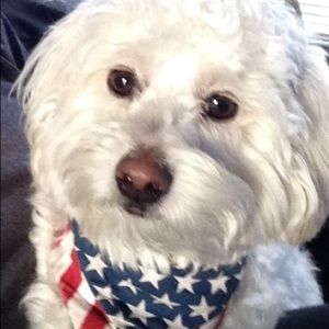 Meet your Posher, Suzanne